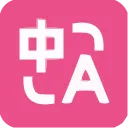 Immersive Translate icon