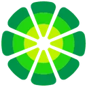 LimeWire AI Studio icon